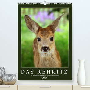 Das Rehkitz, ein zauberhaftes Geschöpf mit großen, braunen Augen (Premium, hochwertiger DIN A2 Wandkalender 2023, Kunstdruck in Hochglanz) von Löwer,  Sabine