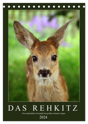 Das Rehkitz, ein zauberhaftes Geschöpf mit großen, braunen Augen (Tischkalender 2024 DIN A5 hoch), CALVENDO Monatskalender von Löwer,  Sabine
