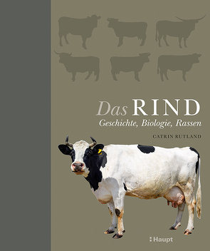 Das Rind von Rutland,  Catrin