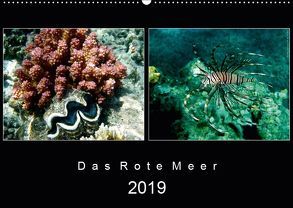 Das Rote Meer – 2019 (Wandkalender 2019 DIN A2 quer) von Hamburg, Mirko Weigt,  ©