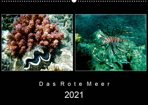 Das Rote Meer – 2021 (Wandkalender 2021 DIN A2 quer) von Hamburg, Mirko Weigt,  ©