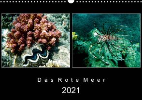 Das Rote Meer – 2021 (Wandkalender 2021 DIN A3 quer) von Hamburg, Mirko Weigt,  ©