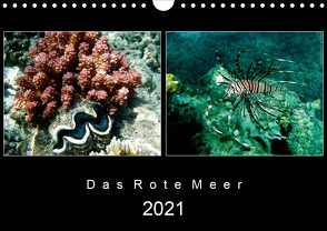 Das Rote Meer – 2021 (Wandkalender 2021 DIN A4 quer) von Hamburg, Mirko Weigt,  ©