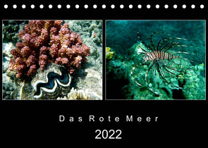 Das Rote Meer – 2022 (Tischkalender 2022 DIN A5 quer) von Hamburg, Mirko Weigt,  ©