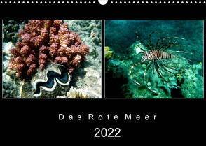 Das Rote Meer – 2022 (Wandkalender 2022 DIN A3 quer) von Hamburg, Mirko Weigt,  ©