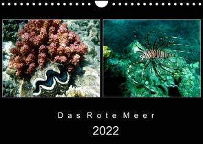 Das Rote Meer – 2022 (Wandkalender 2022 DIN A4 quer) von Hamburg, Mirko Weigt,  ©