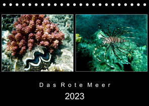 Das Rote Meer – 2023 (Tischkalender 2023 DIN A5 quer) von Hamburg, Mirko Weigt,  ©