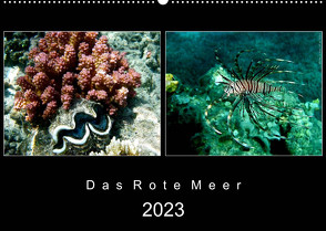 Das Rote Meer – 2023 (Wandkalender 2023 DIN A2 quer) von Hamburg, Mirko Weigt,  ©