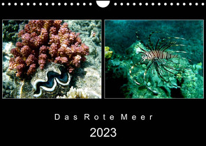 Das Rote Meer – 2023 (Wandkalender 2023 DIN A4 quer) von Hamburg, Mirko Weigt,  ©