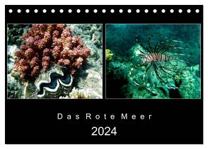 Das Rote Meer – 2024 (Tischkalender 2024 DIN A5 quer), CALVENDO Monatskalender von Mirko Weigt,  Hamburg,  ©