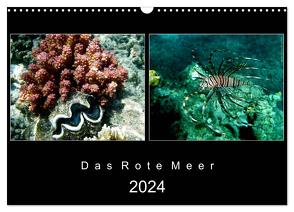 Das Rote Meer – 2024 (Wandkalender 2024 DIN A3 quer), CALVENDO Monatskalender von Mirko Weigt,  Hamburg,  ©