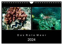 Das Rote Meer – 2024 (Wandkalender 2024 DIN A4 quer), CALVENDO Monatskalender von Mirko Weigt,  Hamburg,  ©