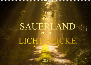 Das Sauerland voller Lichtblicke (Wandkalender 2022 DIN A2 quer) von Bücker,  Heidi