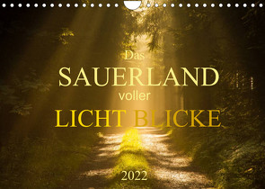 Das Sauerland voller Lichtblicke (Wandkalender 2022 DIN A4 quer) von Bücker,  Heidi