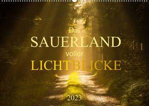 Das Sauerland voller Lichtblicke (Wandkalender 2023 DIN A2 quer) von Bücker,  Heidi