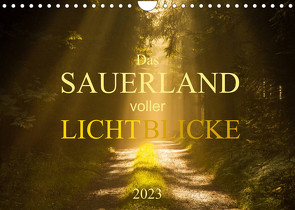 Das Sauerland voller Lichtblicke (Wandkalender 2023 DIN A4 quer) von Bücker,  Heidi