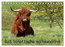 Das Schottische Hochlandrind (Tischkalender 2024 DIN A5 quer), CALVENDO Monatskalender von Schmutzler-Schaub,  Christine