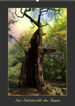 Das Seelenlicht der Bäume (Wandkalender 2023 DIN A2 hoch) von Hubner,  Katharina