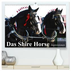 Das Shire Horse. Impressionen (hochwertiger Premium Wandkalender 2024 DIN A2 quer), Kunstdruck in Hochglanz von Stanzer,  Elisabeth