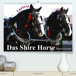 Das Shire Horse. Impressionen (Premium, hochwertiger DIN A2 Wandkalender 2022, Kunstdruck in Hochglanz) von Stanzer,  Elisabeth