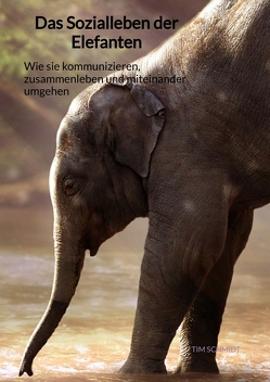 Das Sozialleben der Elefanten von Schmidt,  Tim