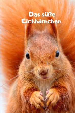 Das süße Eichhörnchen Monatsplaner von Schreiber,  René