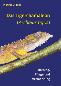 Das Tigerchamäleon, Archaius tigris von Grimm,  Markus