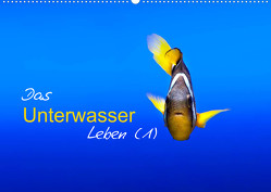 Das Unterwasser Leben (1) (Wandkalender 2022 DIN A2 quer) von Mende,  Marcel
