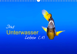 Das Unterwasser Leben (1) (Wandkalender 2022 DIN A3 quer) von Mende,  Marcel