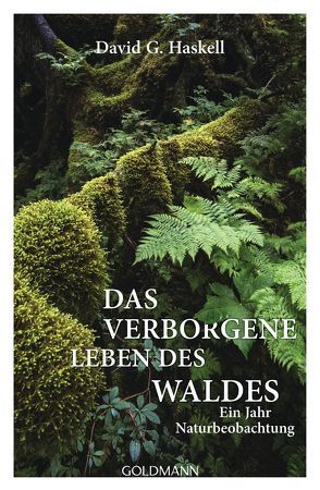 Das verborgene Leben des Waldes von Ammann,  Christine, Haskell,  David G.
