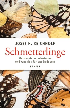 Schmetterlinge von Reichholf,  Josef H.