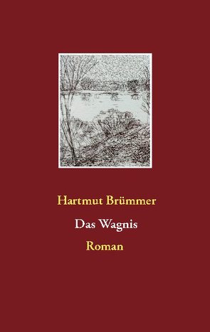 Das Wagnis von Brümmer,  Hartmut