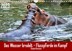Das Wasser brodelt – Flusspferde im Kampf (Wandkalender 2023 DIN A4 quer) von Kleemann,  Claudia