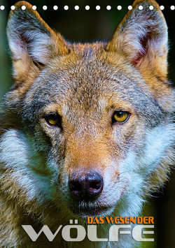 Das Wesen der Wölfe (Tischkalender 2023 DIN A5 hoch) von Utz,  Renate