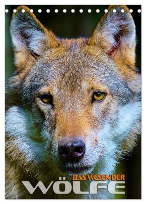Das Wesen der Wölfe (Tischkalender 2024 DIN A5 hoch), CALVENDO Monatskalender von Utz,  Renate