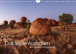 Das wilde Australien (Wandkalender 2023 DIN A4 quer) von Schaarschmidt,  Christoph