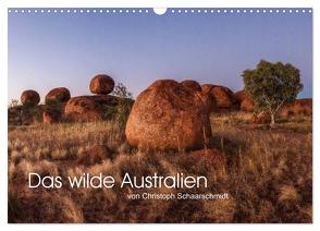 Das wilde Australien (Wandkalender 2024 DIN A3 quer), CALVENDO Monatskalender von Schaarschmidt,  Christoph