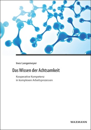 Das Wissen der Achtsamkeit von Langemeyer,  Ines