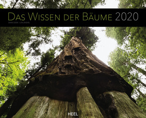 Das Wissen der Bäume 2020 von Cook,  Diane, Jenshel,  Len