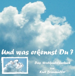 Das WolkenBilderBuch von Braumüller,  Kurt