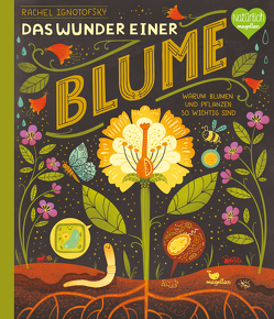 Das Wunder einer Blume – Warum Blumen und Pflanzen so wichtig sind von Ignotofsky,  Rachel, Panzacchi,  Cornelia