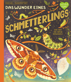 Das Wunder eines Schmetterlings – Wie sich die Natur verwandelt von Ignotofsky,  Rachel, Panzacchi,  Cornelia