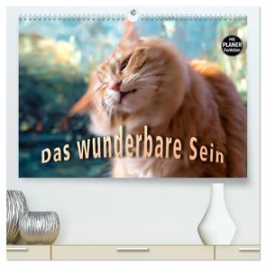 Das wunderbare Sein (hochwertiger Premium Wandkalender 2024 DIN A2 quer), Kunstdruck in Hochglanz von Gross,  Viktor