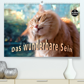 Das wunderbare Sein (Premium, hochwertiger DIN A2 Wandkalender 2022, Kunstdruck in Hochglanz) von Gross,  Viktor