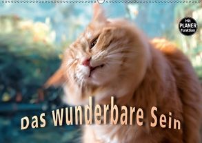 Das wunderbare Sein (Wandkalender 2018 DIN A2 quer) von Gross,  Viktor