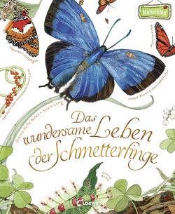 Das wundersame Leben der Schmetterlinge von Aston,  Dianna Hutts, Long,  Sylvia, Margineanu,  Sandra