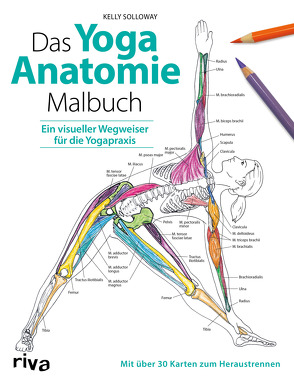 Das Yoga-Anatomie-Malbuch von Solloway,  Kelly, Stutzman,  Samantha
