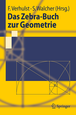 Das Zebra-Buch zur Geometrie von Verhulst,  Ferdinand, Walcher,  Sebastian