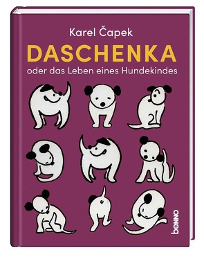 Daschenka oder das Leben eines Hundekindes von Capek,  Karel