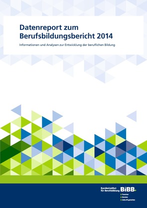 Datenreport zum Berufsbildungsbericht 2014 von Bundesinstitut für Berufsbildung (BIBB)